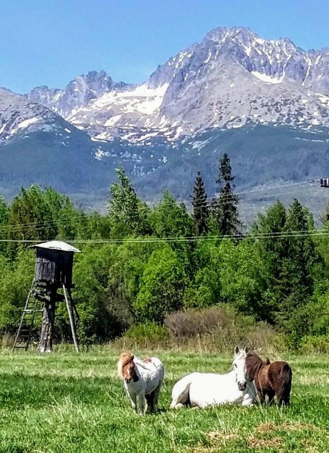 Penzión Monty Ranch Vysoké Tatry Štôla Hotel Exterior foto