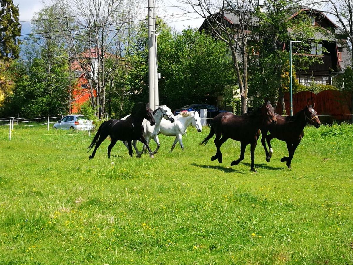 Penzión Monty Ranch Vysoké Tatry Štôla Hotel Exterior foto